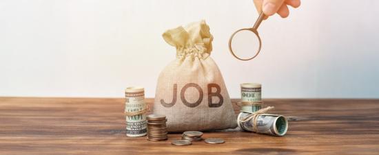 وظائف بدون خبرة برواتب جيدة في 2026: فرص حقيقية للمبتدئين